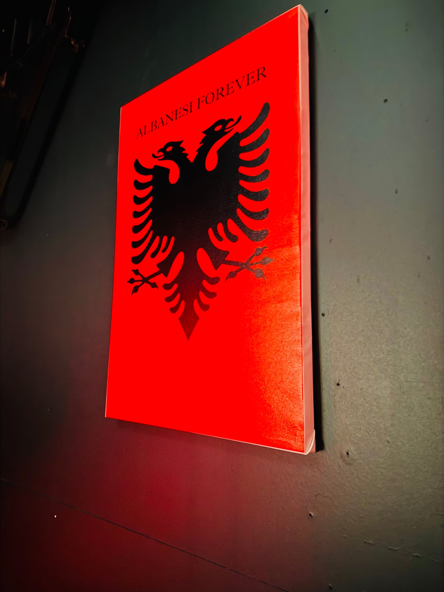 A4EVR Albanesi Forever